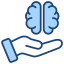 Brain