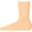 Foot
