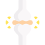 Joint