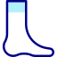 Foot