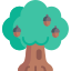 Oak