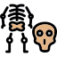 Skeleton