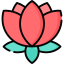 Цветок лотоса