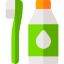 Tooth Brush