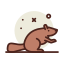 Beaver