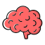 Brain