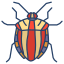 Bug