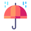 Umbrella