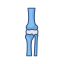 Knee joint