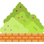 Bush