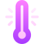 Thermometer