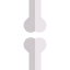 Bones