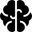 Brain