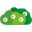 Bush