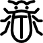 Insect