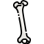 Bone