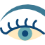 Eye