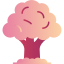 Oak