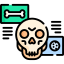 Human bones