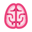 Brain