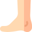 Foot