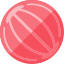 Pilates ball