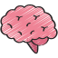 Brain