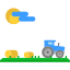 Field