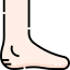Foot