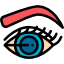 Eye