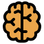 Brain