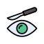 Eye