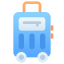 Baggage