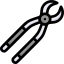 Forceps