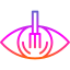 Eye