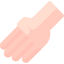 Hand