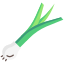 Spring onion