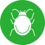 Bug