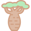 Baobab