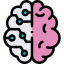 Brain
