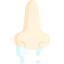 Runny nose
