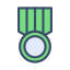 Medal of honor