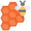 Honeycombs