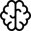 Brain