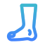 Foot