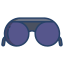 Sunglass