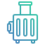 Luggage