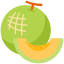Melon