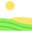 Field