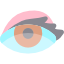 Eye